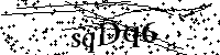 Bitte geben Sie die gezeigten Buchstaben und Zahlen ein
