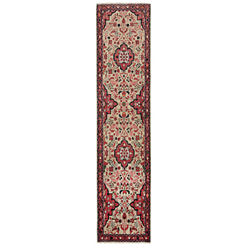 Hamedan Persian Rug